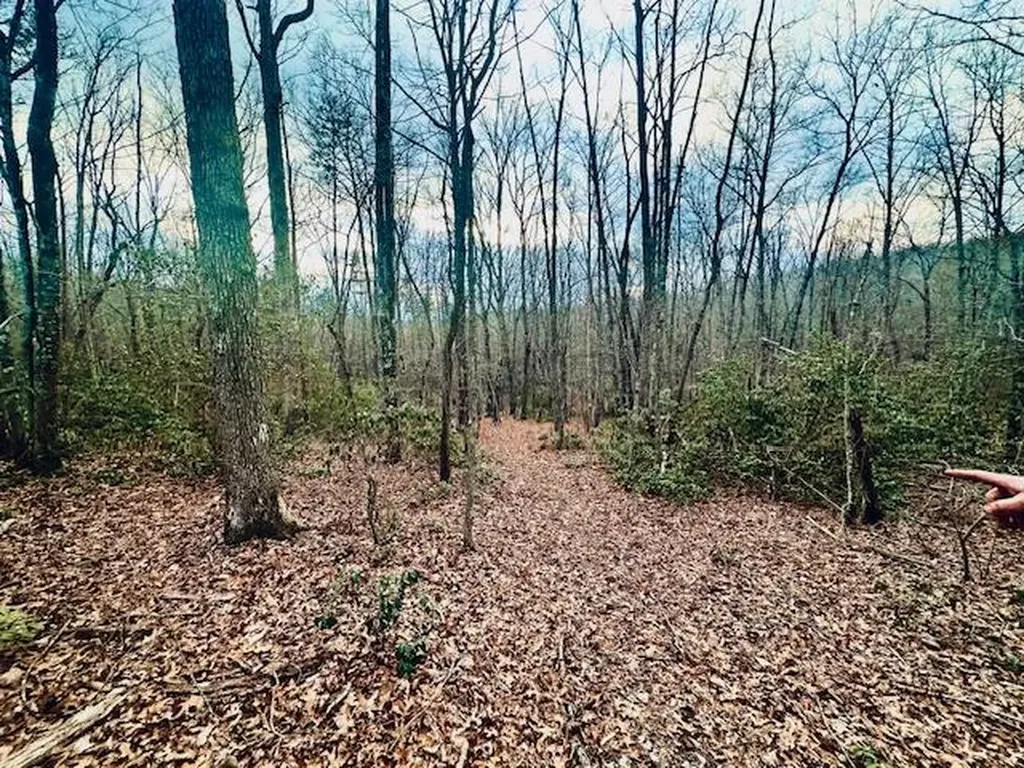 00 Milo Webb Drive Crossville TN 38572