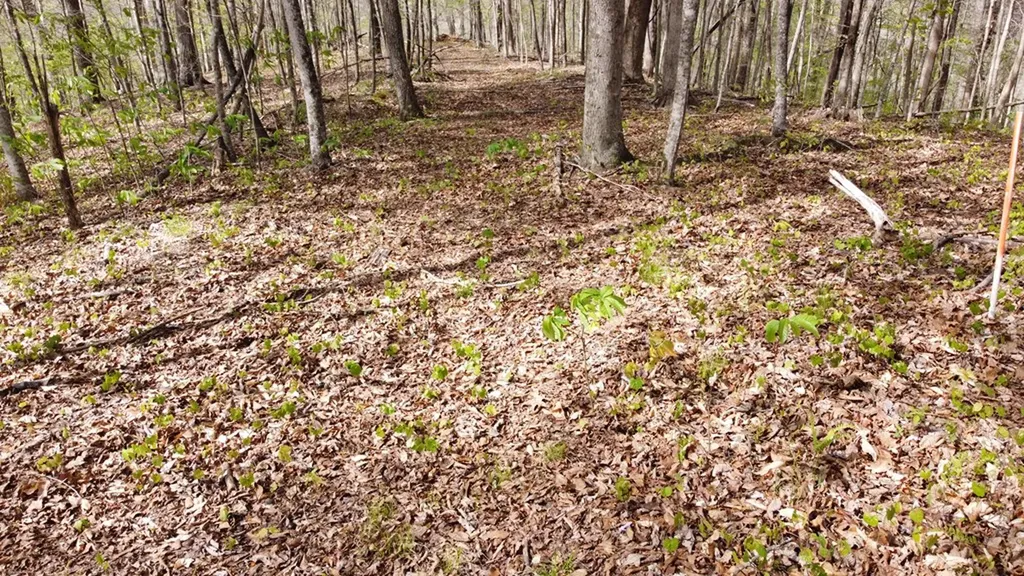 - Off Johnson Chapel Road Sparta TN 38583