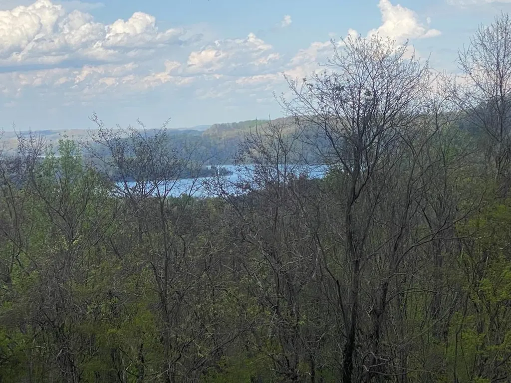 102C Swan Ridge Hilham TN 38568
