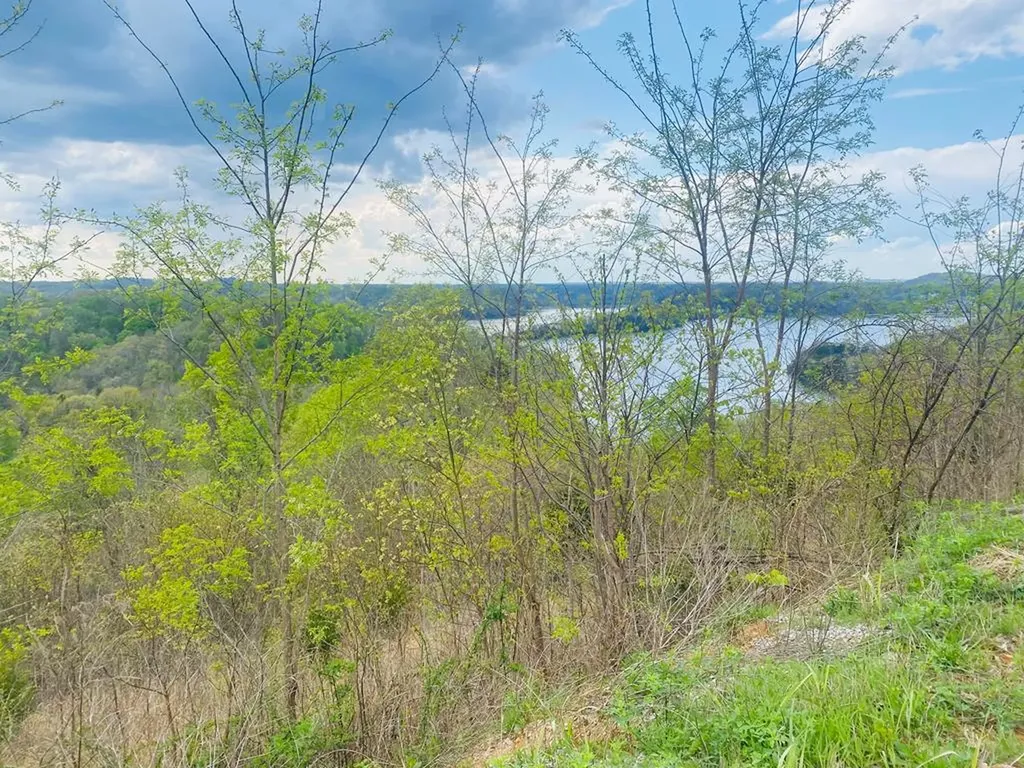 102C Swan Ridge Hilham TN 38568