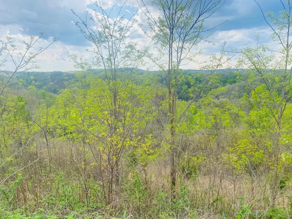 102C Swan Ridge Hilham TN 38568