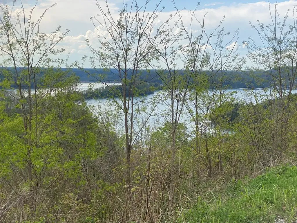 102C Swan Ridge Hilham TN 38568