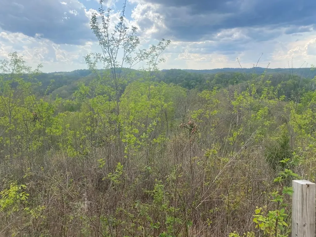 102C Swan Ridge Hilham TN 38568