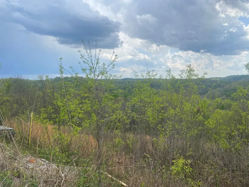 102C Swan Ridge Hilham TN 38568