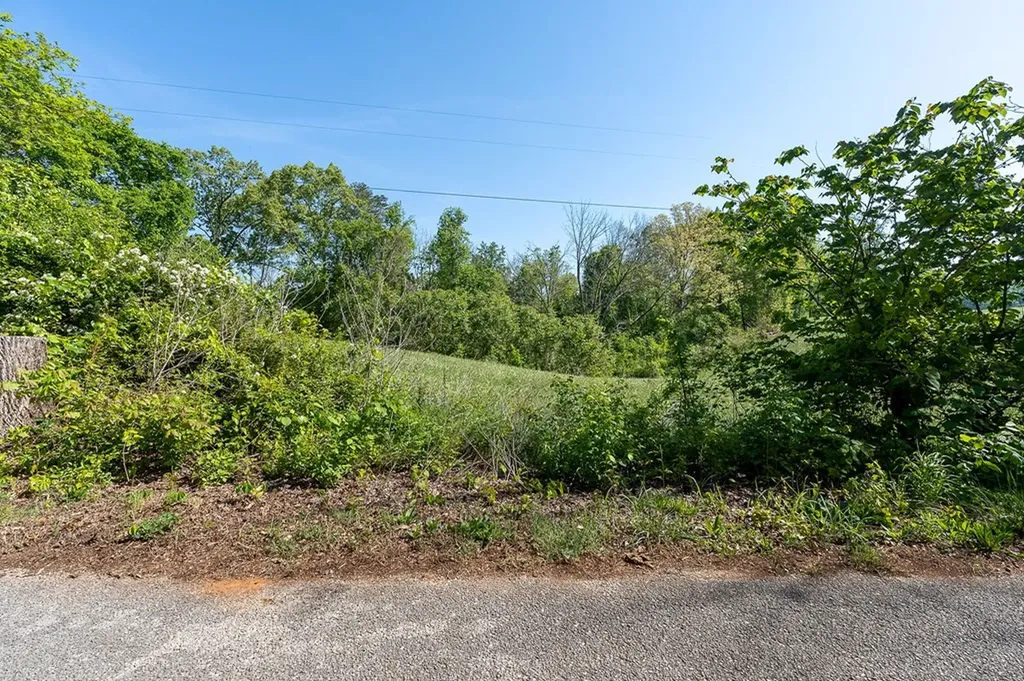 896 Russell Ci Rock Island TN 38585