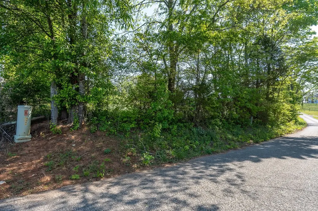 896 Russell Ci Rock Island TN 38585