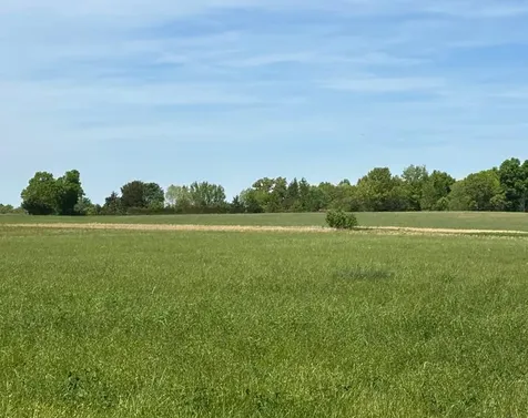 5 ac Ramsey Stretch Road Monroe TN 38573