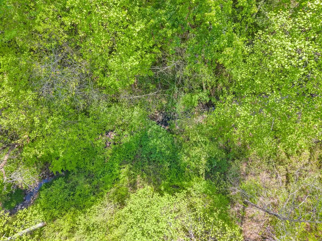 12 Hickory View Lane Crossville TN 38572
