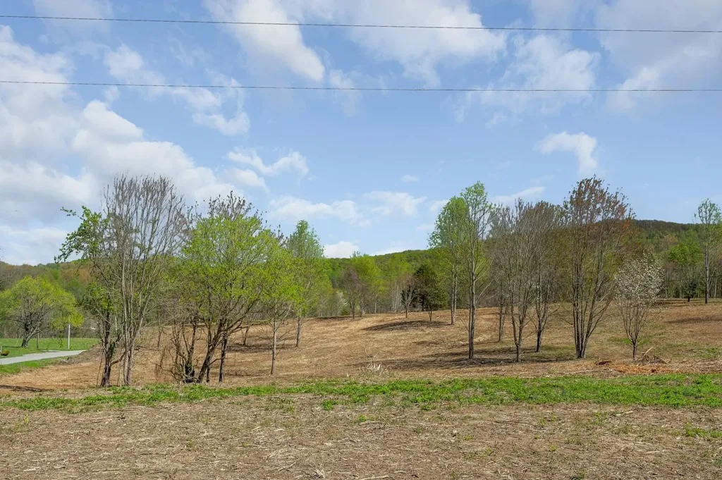 00 Big Springs Farm - Lot 13, 1.02 Acre Monroe TN 38573