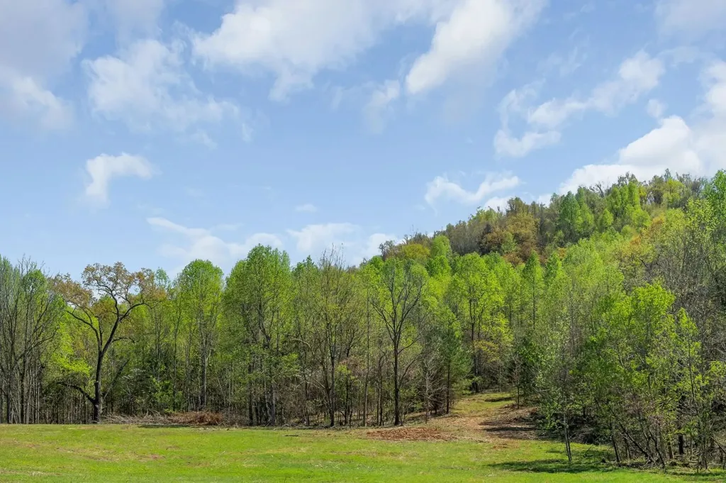 00 Big Springs Farm - Lot 13, 1.02 Acre Monroe TN 38573