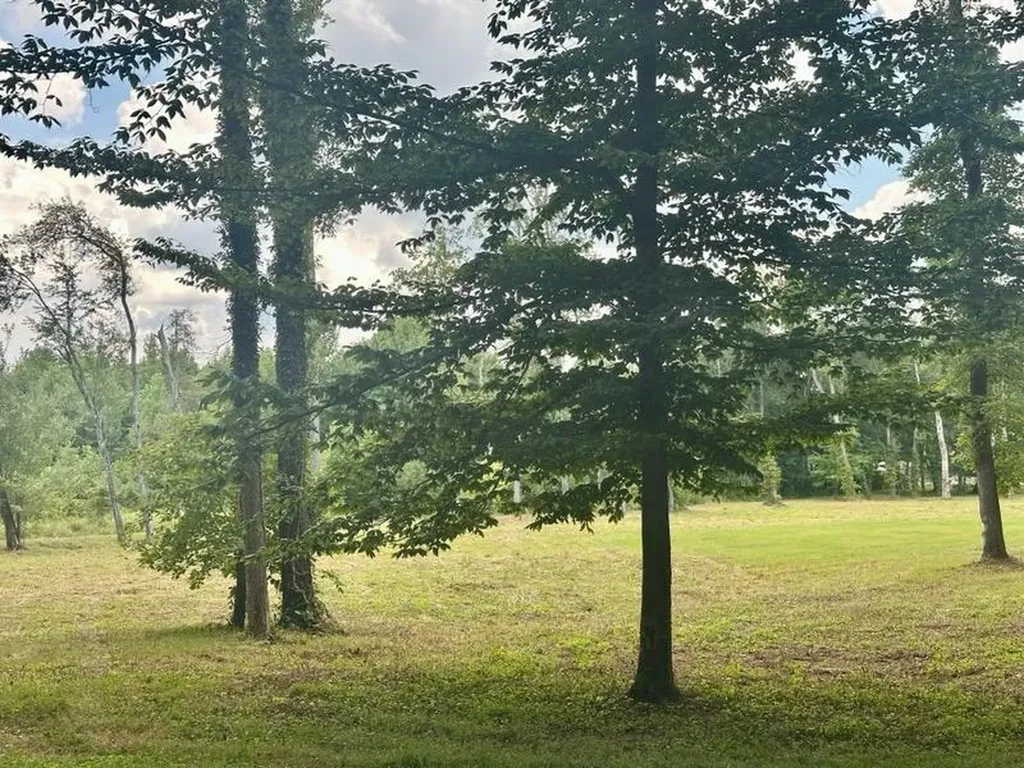 1365 Chattsworth Blvd. Lot 8 Cookeville TN 38501