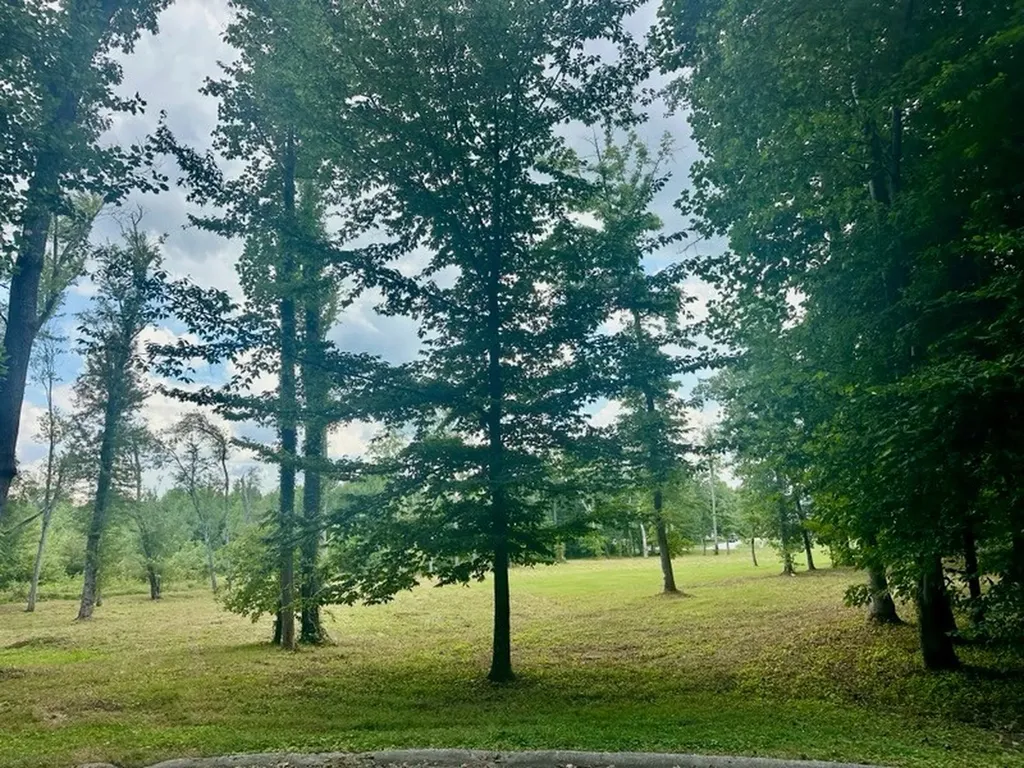 1365 Chattsworth Blvd. Lot 8 Cookeville TN 38501