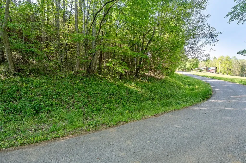 00 Butts Bridge Road Sparta TN 38583