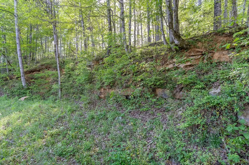 00 Butts Bridge Road Sparta TN 38583