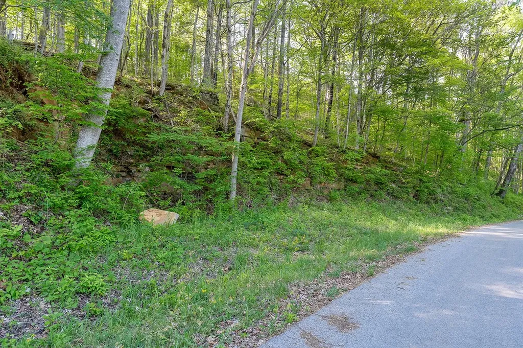 00 Butts Bridge Road Sparta TN 38583