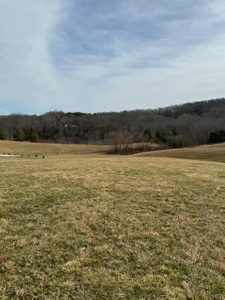 Lot 13 Holly Bend Drive Byrdstown TN 38549