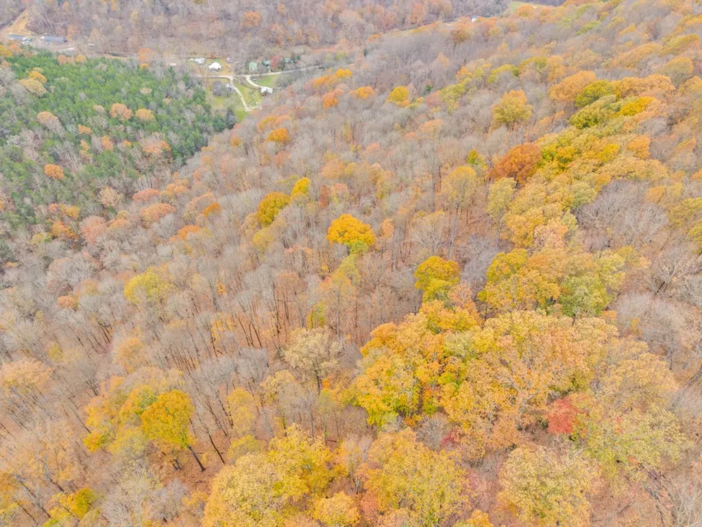 0 Ensor Hollow Road Buffalo Valley TN 38548