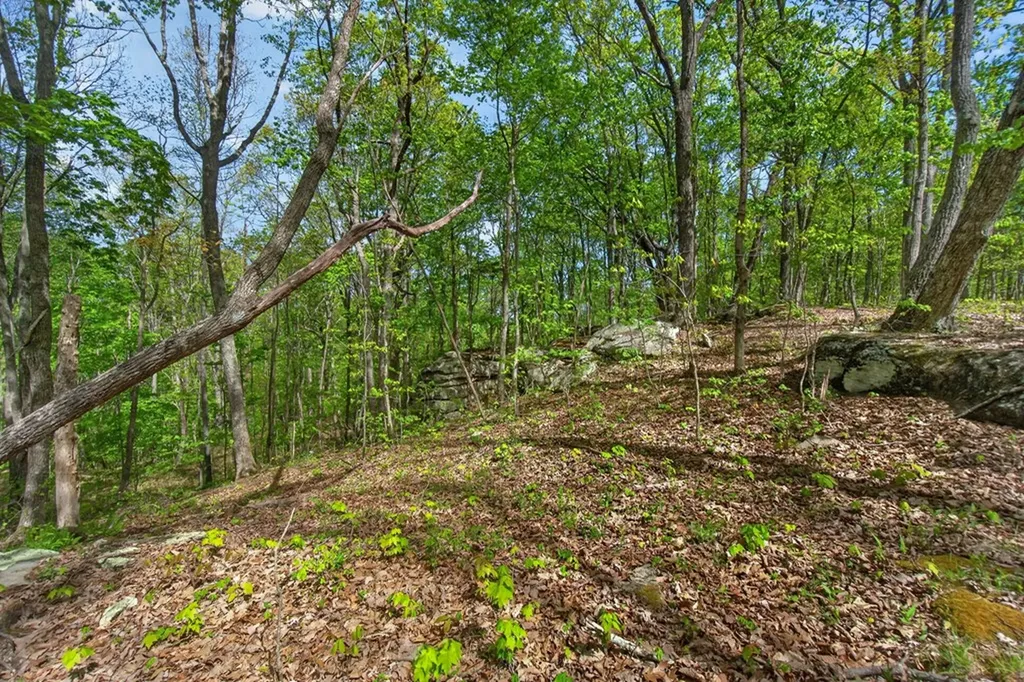 751 W Bluff Road Pikeville TN 37367