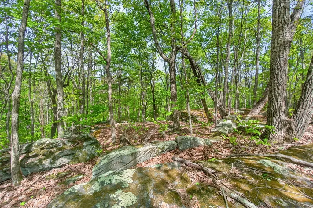 751 W Bluff Road Pikeville TN 37367