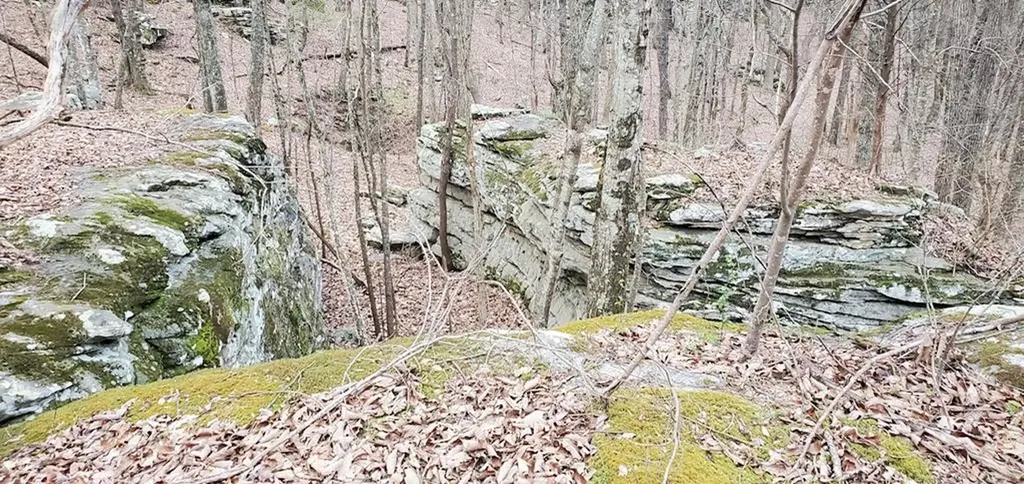 751 W Bluff Road Pikeville TN 37367