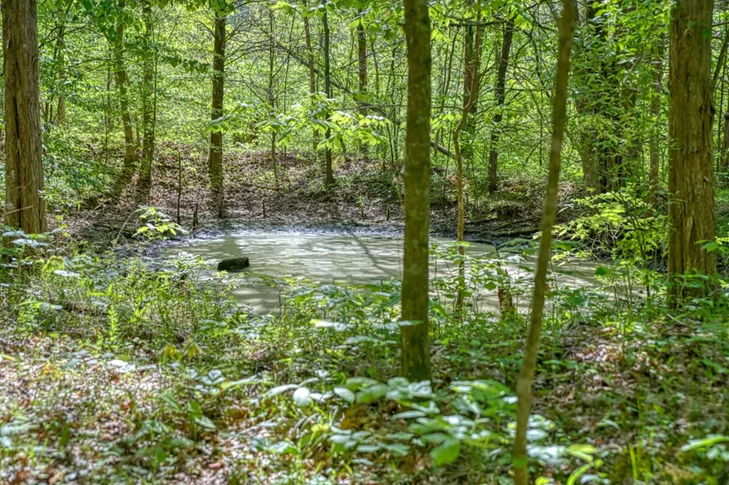 299 Poor House Hollow Lane Gainesboro TN 38562