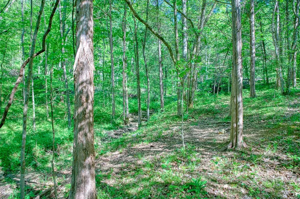 299 Poor House Hollow Lane Gainesboro TN 38562