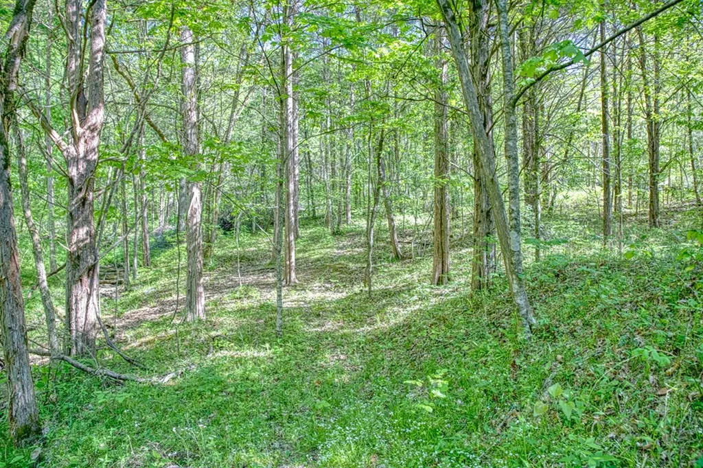 299 Poor House Hollow Lane Gainesboro TN 38562