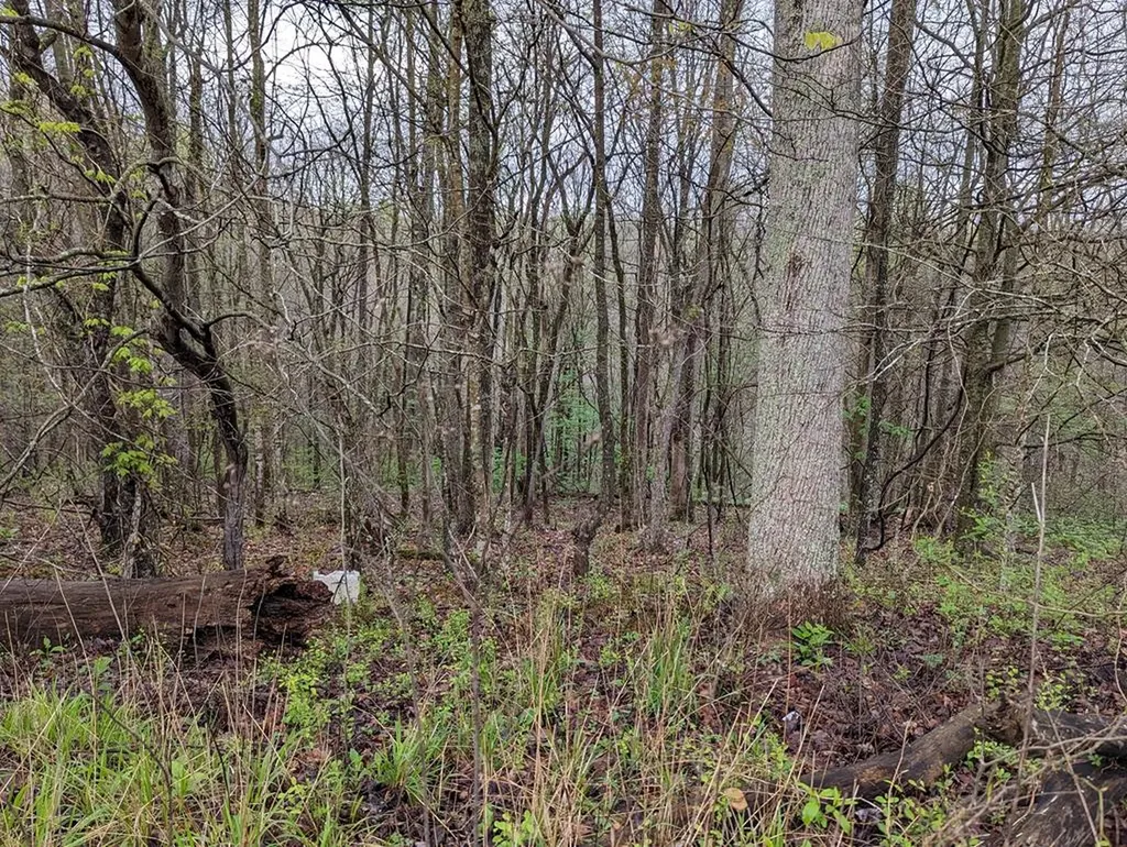 20.27AC Denton Road Moss TN 38575