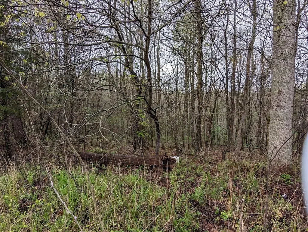 20.27AC Denton Road Moss TN 38575