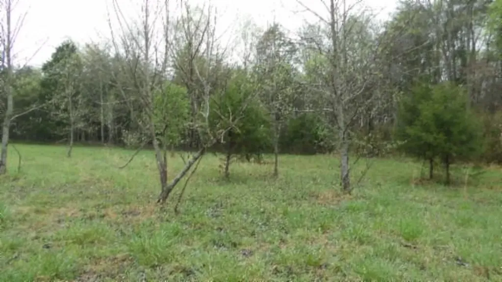 20.27AC Denton Road Moss TN 38575