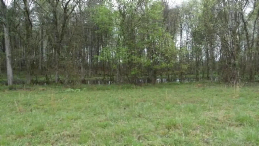 20.27AC Denton Road Moss TN 38575