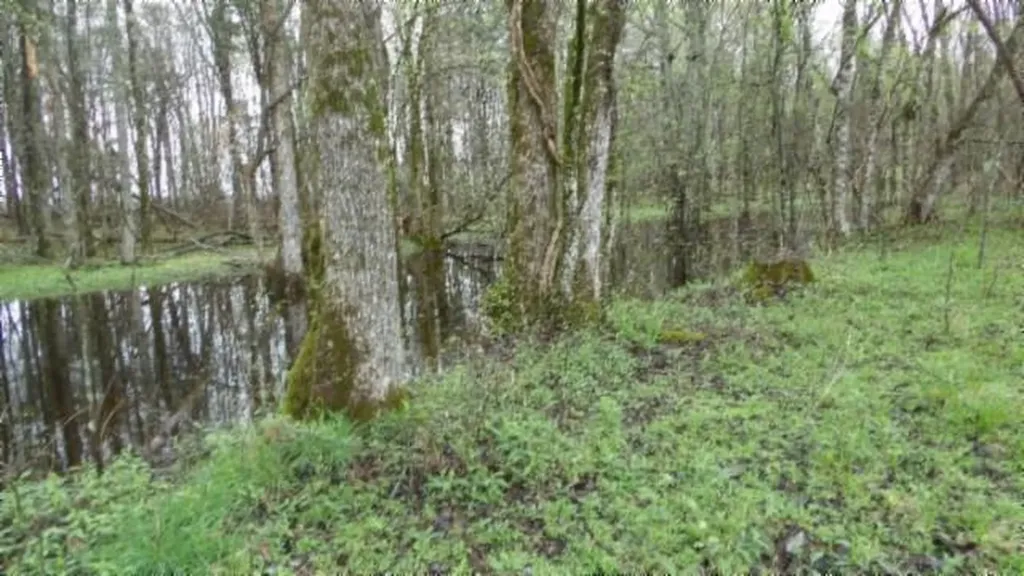 20.27AC Denton Road Moss TN 38575
