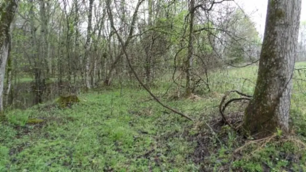 20.27AC Denton Road Moss TN 38575