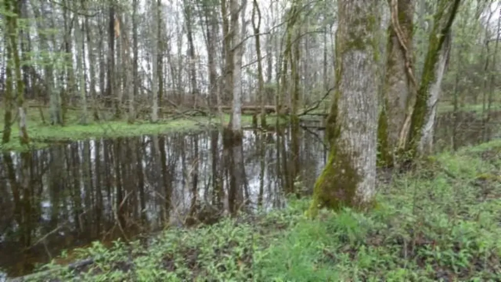 20.27AC Denton Road Moss TN 38575