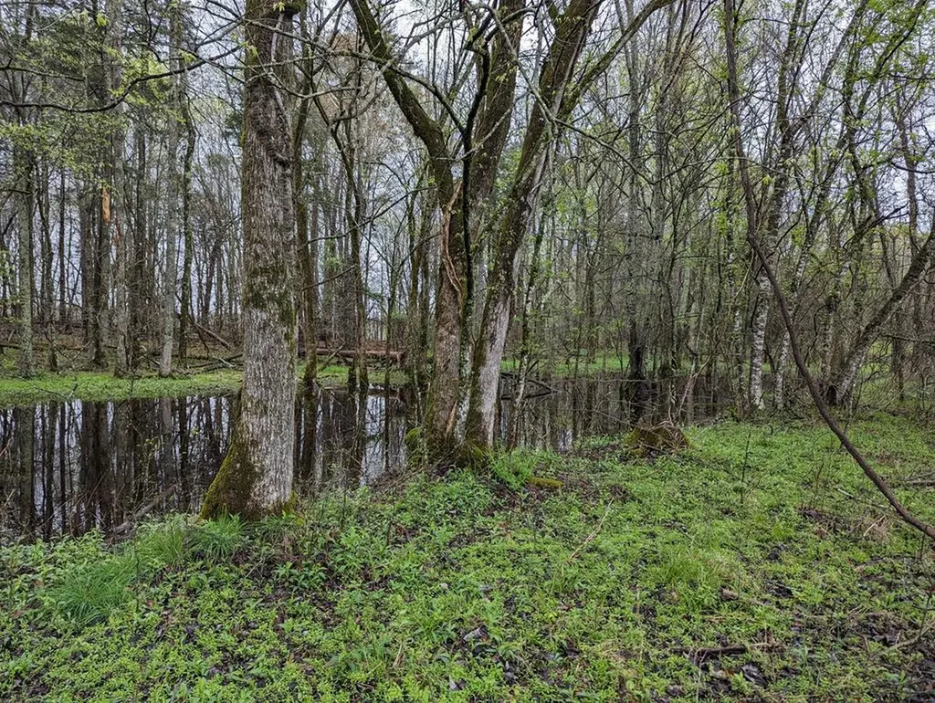 20.27AC Denton Road Moss TN 38575
