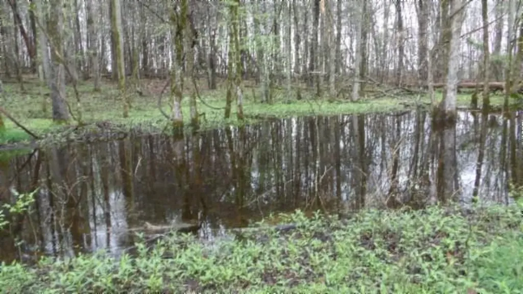 20.27AC Denton Road Moss TN 38575