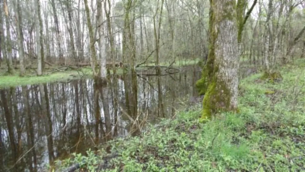 20.27AC Denton Road Moss TN 38575