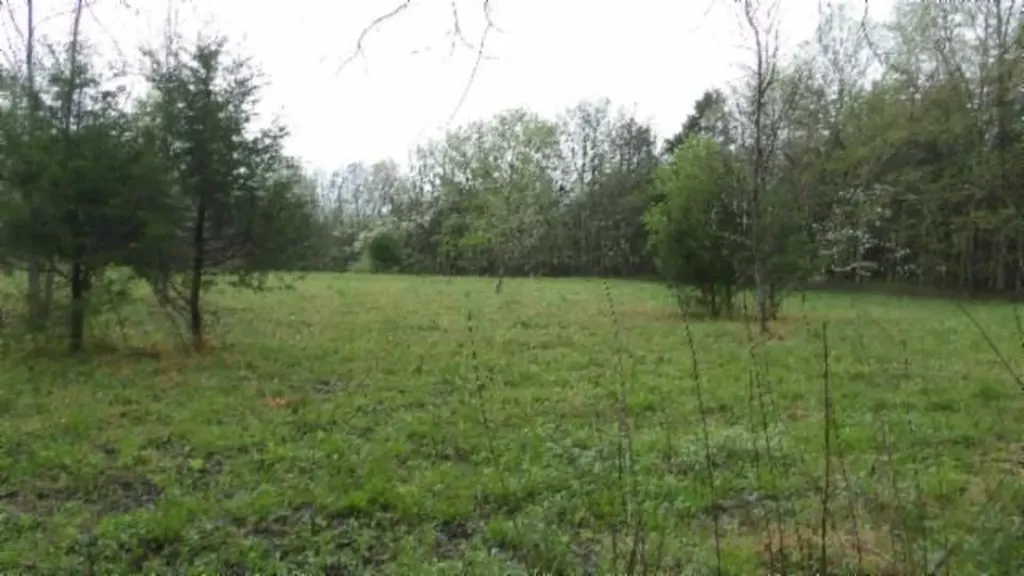 20.27AC Denton Road Moss TN 38575