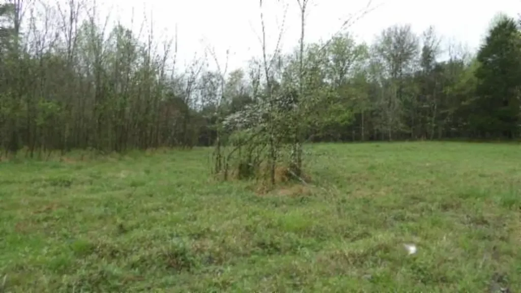 20.27AC Denton Road Moss TN 38575