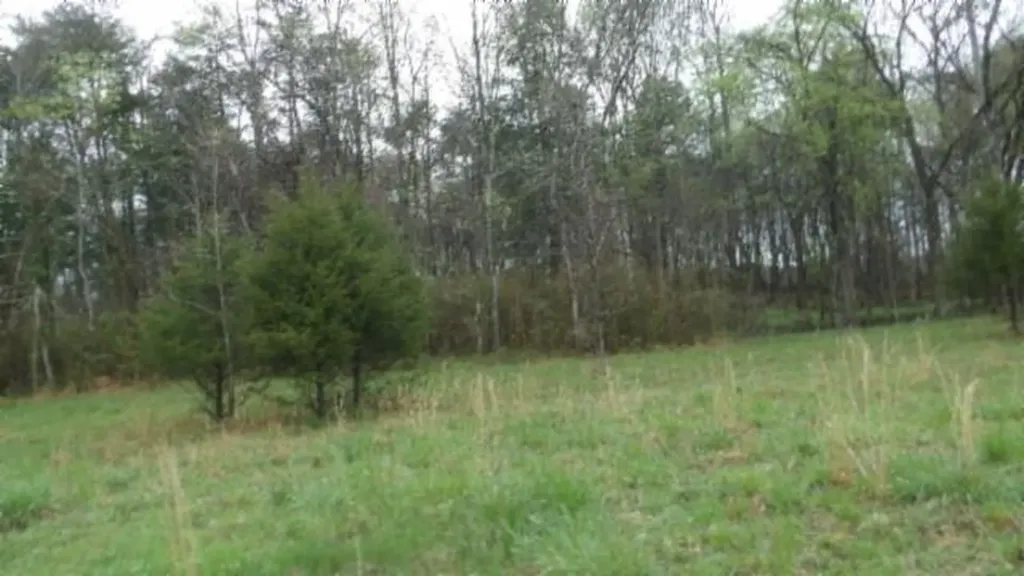 20.27AC Denton Road Moss TN 38575