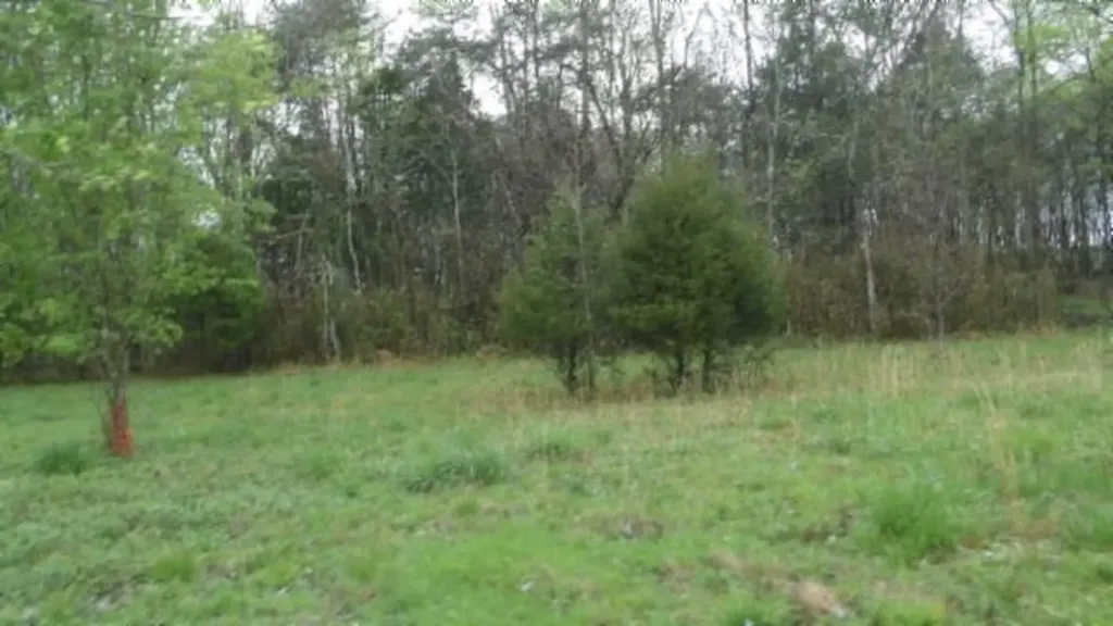 20.27AC Denton Road Moss TN 38575