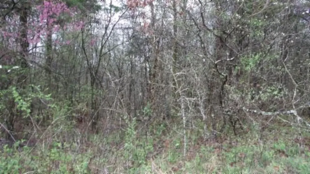 20.27AC Denton Road Moss TN 38575