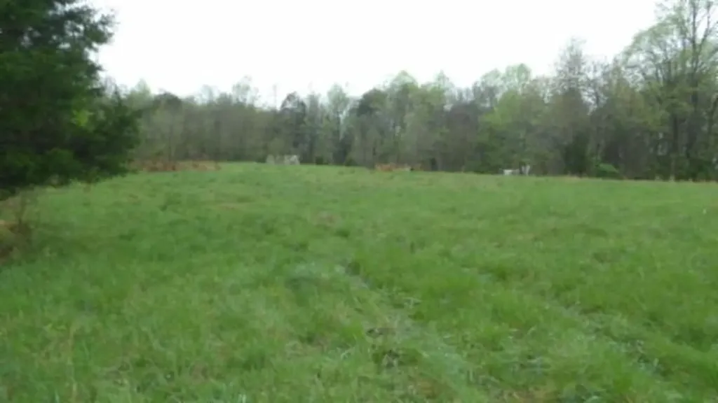 20.27AC Denton Road Moss TN 38575