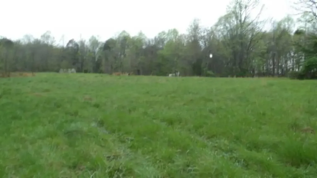 20.27AC Denton Road Moss TN 38575