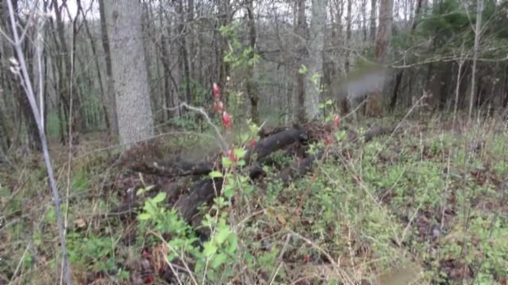 20.27AC Denton Road Moss TN 38575