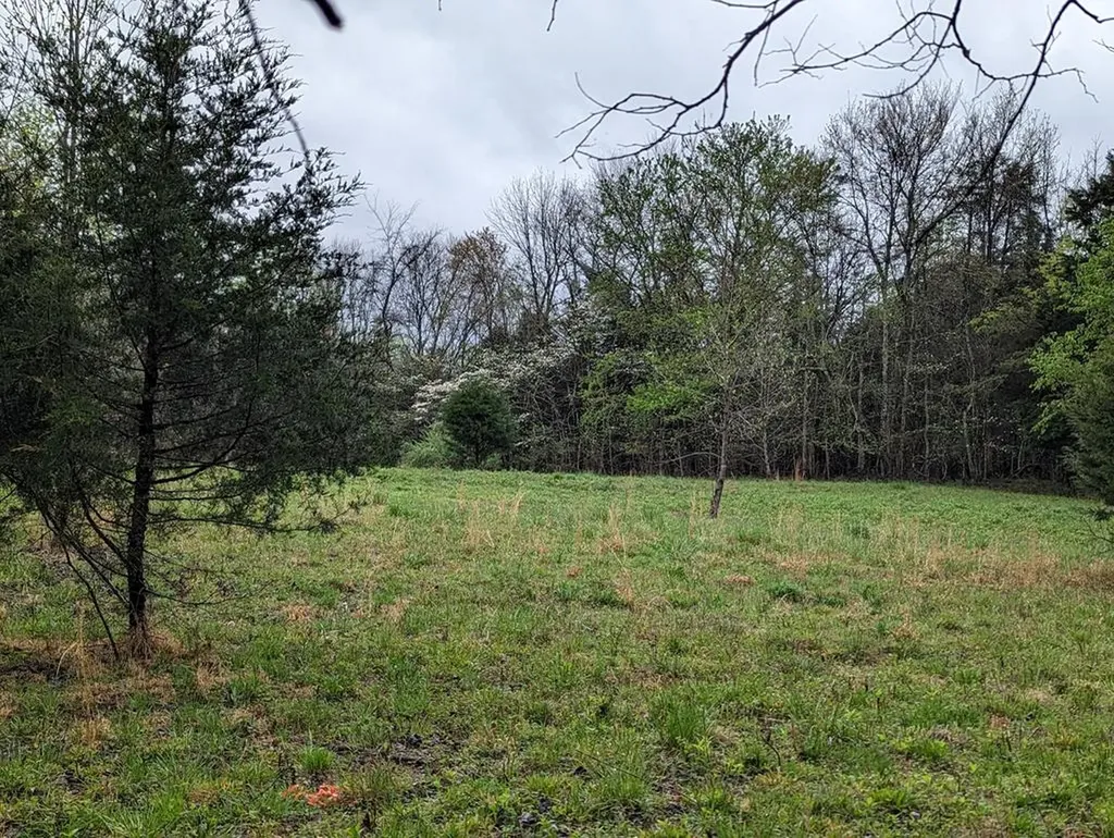20.27AC Denton Road Moss TN 38575