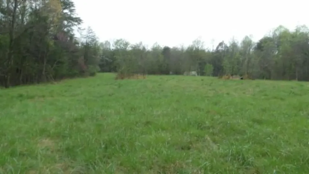 20.27AC Denton Road Moss TN 38575