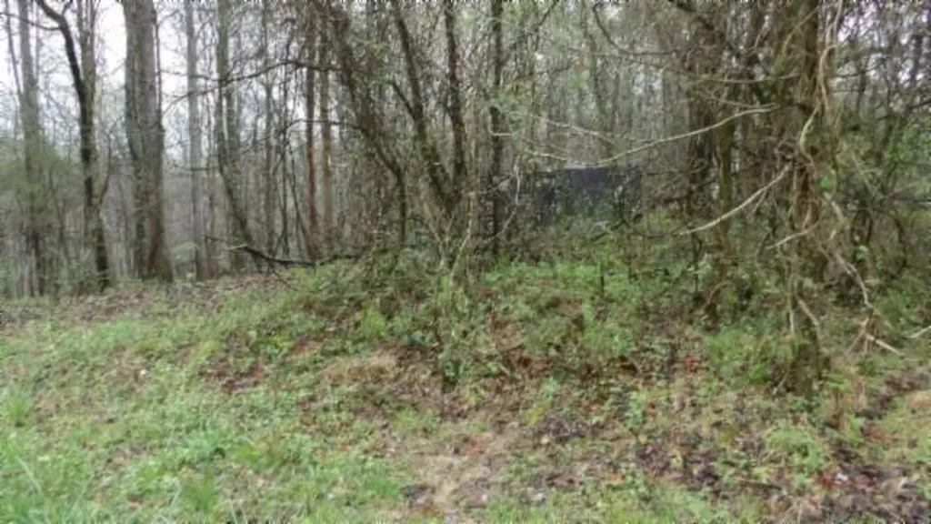 20.27AC Denton Road Moss TN 38575