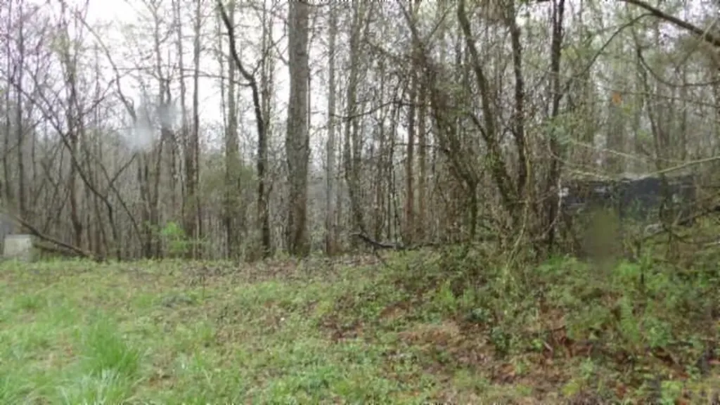 20.27AC Denton Road Moss TN 38575
