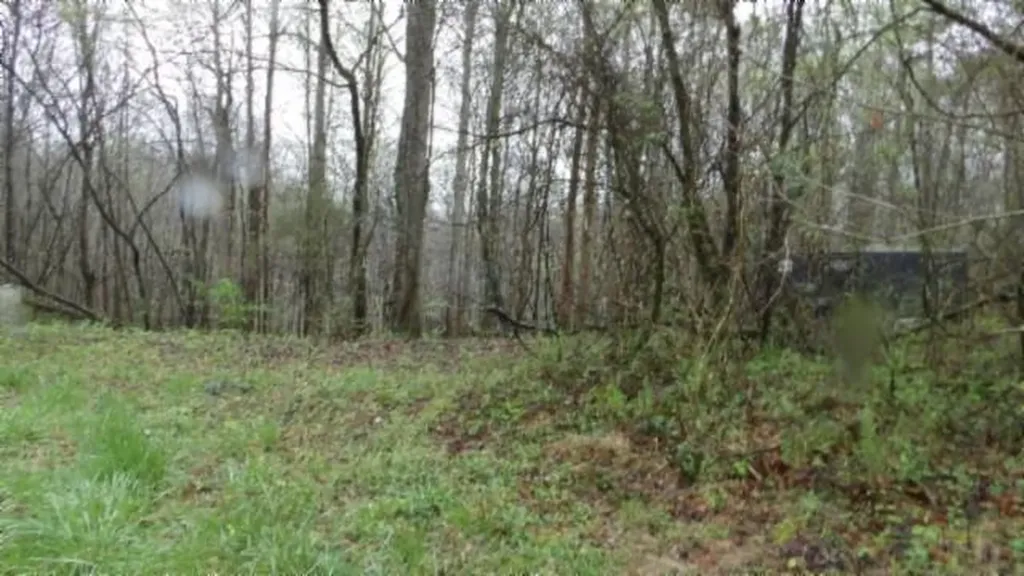 20.27AC Denton Road Moss TN 38575
